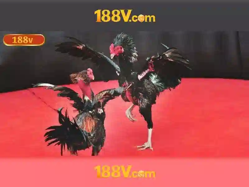 Đặc Điểm Nổi Bật Của Slot 188V