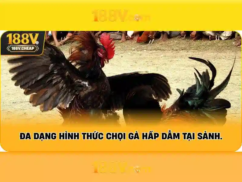Khuyến Mãi 188V
